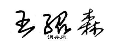 朱錫榮王紹森草書個性簽名怎么寫