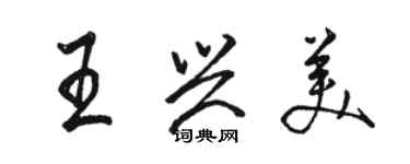 駱恆光王興美行書個性簽名怎么寫