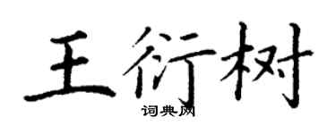 丁謙王衍樹楷書個性簽名怎么寫