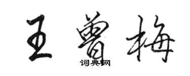 駱恆光王曾梅行書個性簽名怎么寫