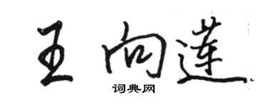 駱恆光王向蓮行書個性簽名怎么寫