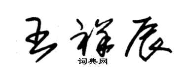 朱錫榮王祥辰草書個性簽名怎么寫