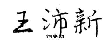 曾慶福王沛新行書個性簽名怎么寫