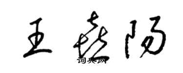 梁錦英王喜陽草書個性簽名怎么寫