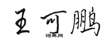 駱恆光王可鵬行書個性簽名怎么寫