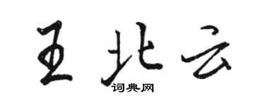 駱恆光王北雲行書個性簽名怎么寫