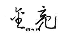 駱恆光金亮草書個性簽名怎么寫