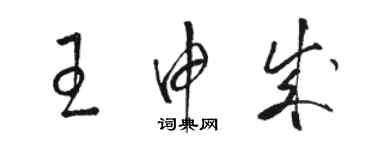 駱恆光王申成草書個性簽名怎么寫