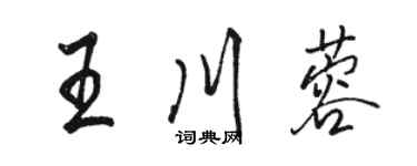 駱恆光王川蓉行書個性簽名怎么寫