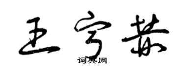 曾慶福王寧赫草書個性簽名怎么寫