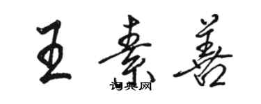 駱恆光王素善行書個性簽名怎么寫