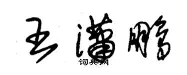 朱錫榮王瀟鵬草書個性簽名怎么寫