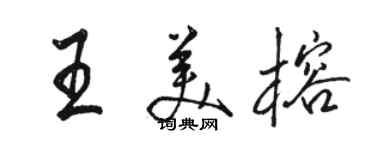 駱恆光王美榕行書個性簽名怎么寫