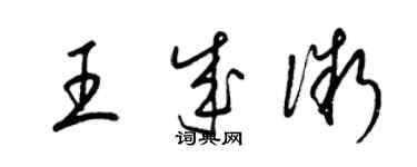 梁錦英王成微草書個性簽名怎么寫