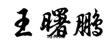胡問遂王曙鵬行書個性簽名怎么寫