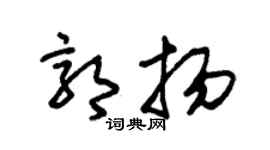 朱錫榮郭揚草書個性簽名怎么寫