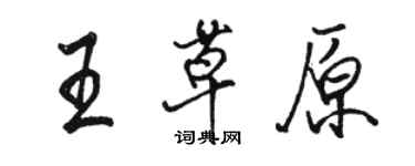 駱恆光王草原行書個性簽名怎么寫