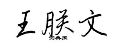 王正良王朕文行書個性簽名怎么寫