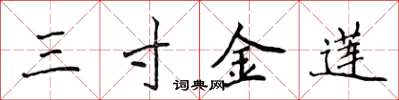 侯登峰三寸金蓮楷書怎么寫