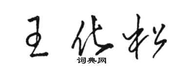 駱恆光王化松草書個性簽名怎么寫