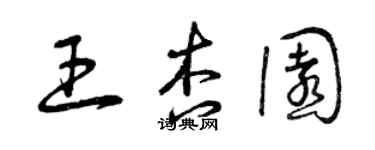 曾慶福王杏園草書個性簽名怎么寫