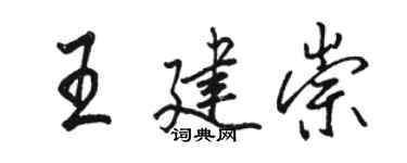 駱恆光王建崇行書個性簽名怎么寫
