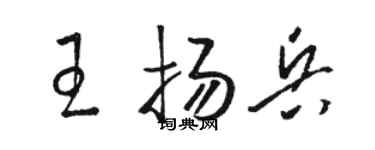 駱恆光王揚兵草書個性簽名怎么寫