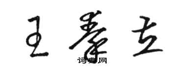 駱恆光王秦立草書個性簽名怎么寫