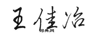 駱恆光王佳冶行書個性簽名怎么寫