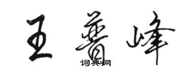 駱恆光王普峰行書個性簽名怎么寫
