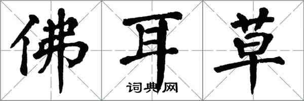 翁闓運佛耳草楷書怎么寫