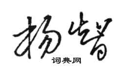 駱恆光楊智草書個性簽名怎么寫