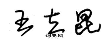 朱錫榮王立昆草書個性簽名怎么寫