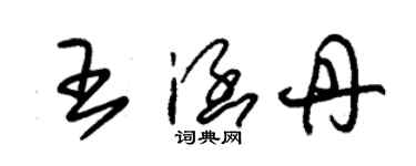 朱錫榮王涵丹草書個性簽名怎么寫