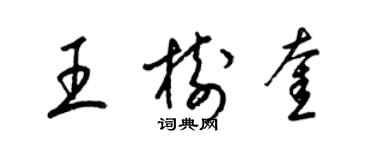 梁錦英王樹奎草書個性簽名怎么寫
