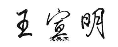 駱恆光王宣明行書個性簽名怎么寫