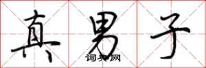 荊霄鵬真男子行書怎么寫