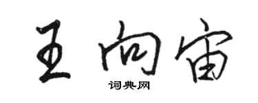 駱恆光王向宙行書個性簽名怎么寫