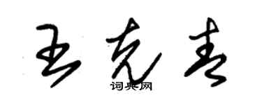 朱錫榮王克青草書個性簽名怎么寫