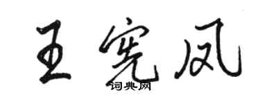 駱恆光王憲鳳行書個性簽名怎么寫