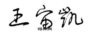 曾慶福王宙凱草書個性簽名怎么寫