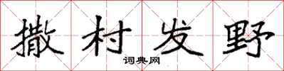 袁強撒村發野楷書怎么寫