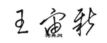 駱恆光王宙新草書個性簽名怎么寫