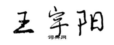曾慶福王宇陽行書個性簽名怎么寫