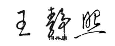 駱恆光王靜照草書個性簽名怎么寫