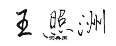 駱恆光王照洲行書個性簽名怎么寫