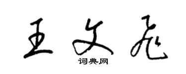 梁錦英王文飛草書個性簽名怎么寫