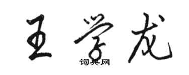 駱恆光王學龍行書個性簽名怎么寫