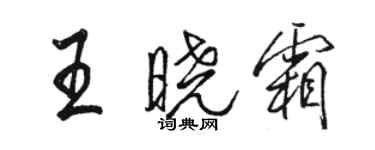 駱恆光王曉霜行書個性簽名怎么寫