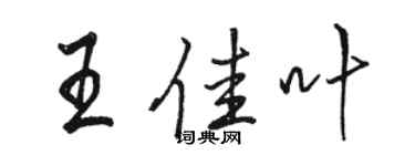 駱恆光王佳葉行書個性簽名怎么寫